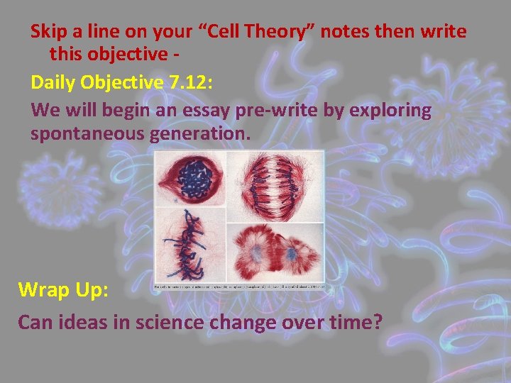 Skip a line on your “Cell Theory” notes then write this objective Daily Objective