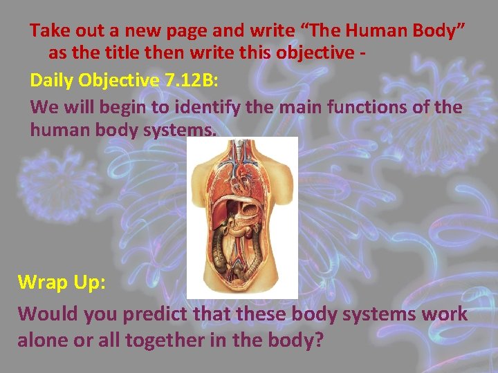 Take out a new page and write “The Human Body” as the title then