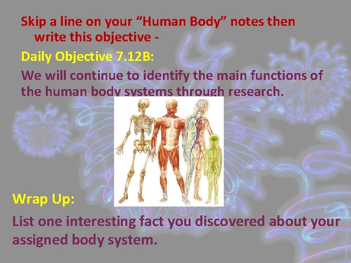 Skip a line on your “Human Body” notes then write this objective Daily Objective