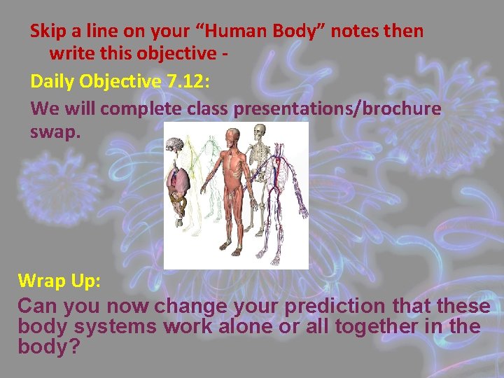 Skip a line on your “Human Body” notes then write this objective Daily Objective