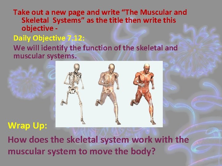 Take out a new page and write “The Muscular and Skeletal Systems” as the