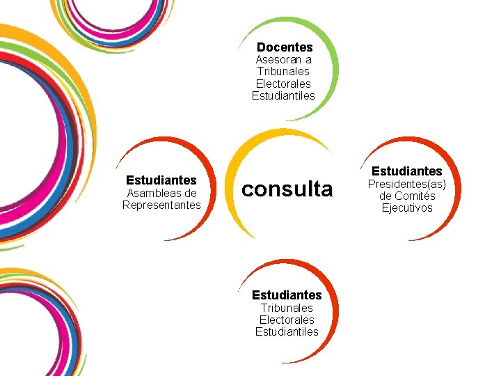 Docentes Asesoran a Tribunales Electorales Estudiantiles Estudiantes Asambleas de Representantes consulta Estudiantes Tribunales Electorales