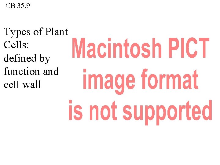 CB 35. 9 Types of Plant Cells: defined by function and cell wall 