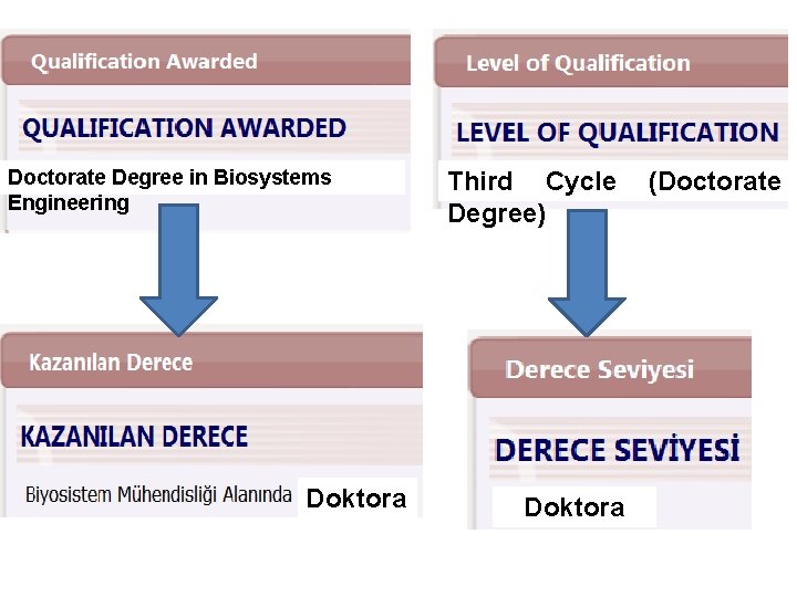 Doctorate Degree in Biosystems Engineering Doktora Third Cycle Degree) Doktora (Doctorate 