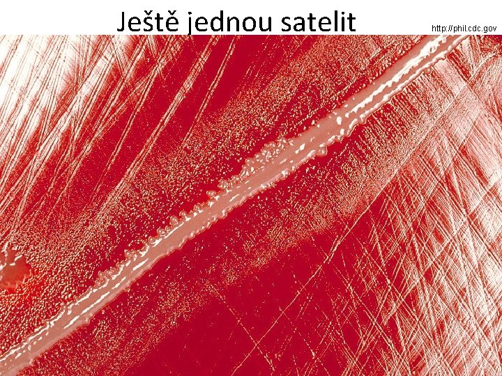 Ještě jednou satelit http: //phil. cdc. gov 