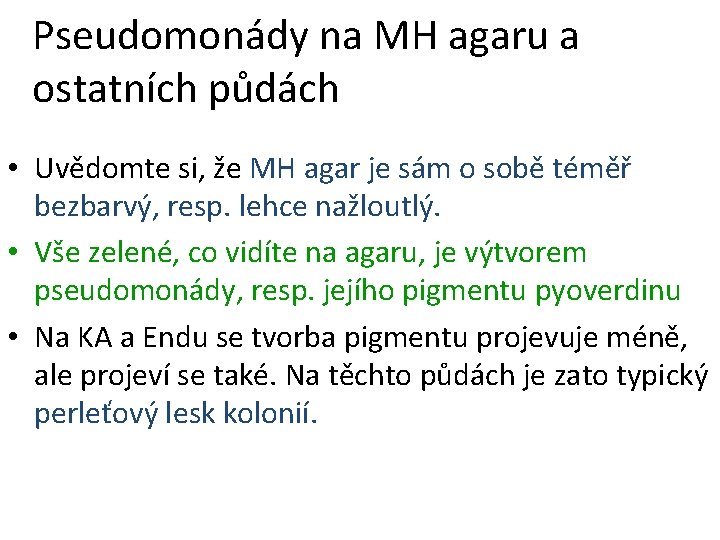 Pseudomonády na MH agaru a ostatních půdách • Uvědomte si, že MH agar je