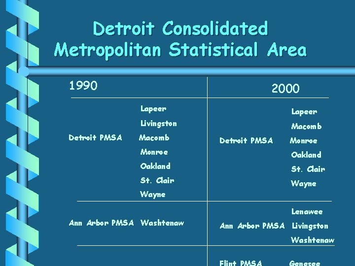 Detroit Consolidated Metropolitan Statistical Area 1990 Detroit PMSA 2000 Lapeer Livingston Macomb Detroit PMSA