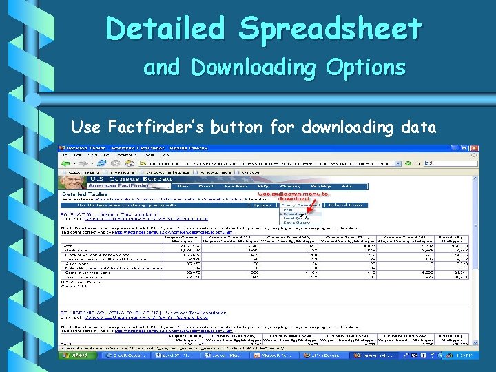 Detailed Spreadsheet and Downloading Options Use Factfinder’s button for downloading data 
