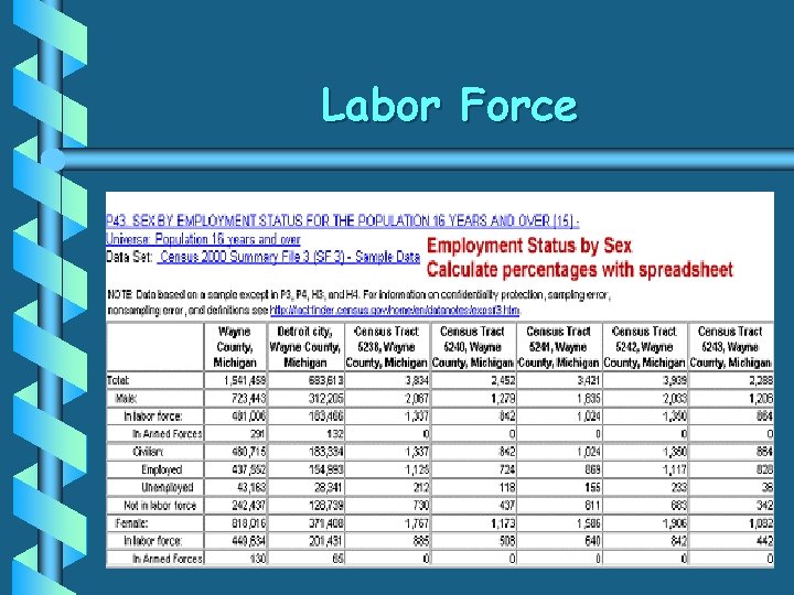 Labor Force 