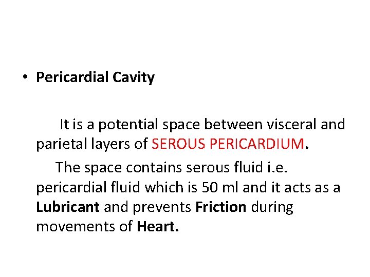  • Pericardial Cavity It is a potential space between visceral and parietal layers