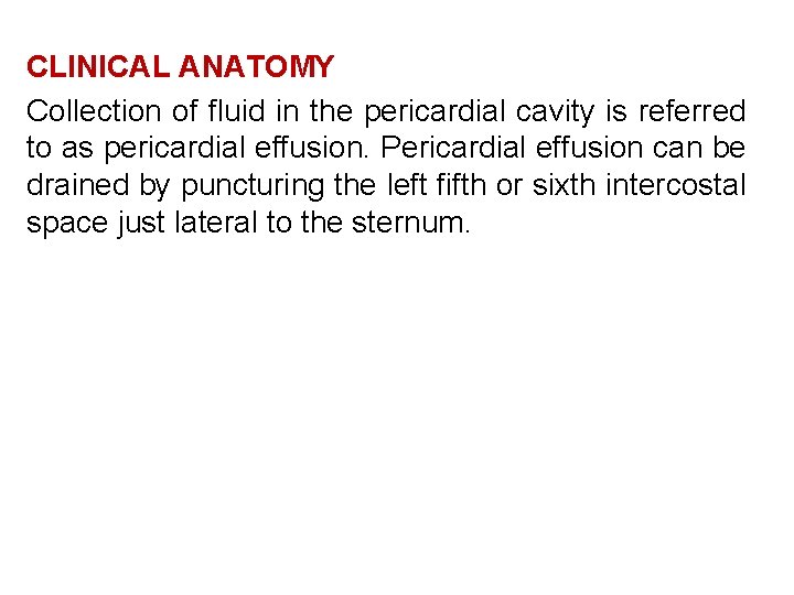 CLINICAL ANATOMY Collection of fluid in the pericardial cavity is referred to as pericardial