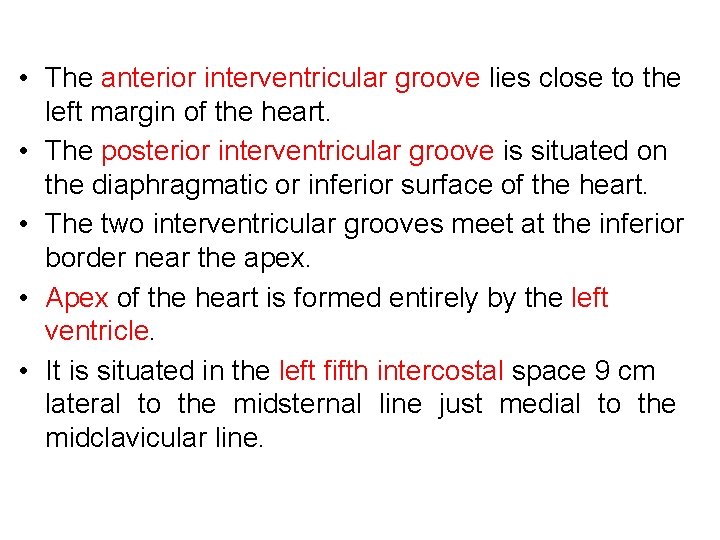  • The anterior interventricular groove lies close to the left margin of the