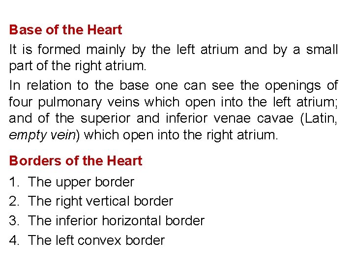 Base of the Heart It is formed mainly by the left atrium and by