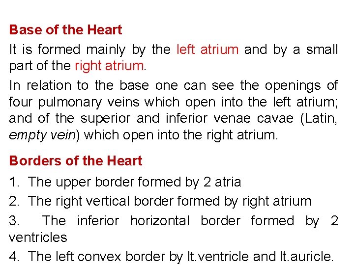 Base of the Heart It is formed mainly by the left atrium and by