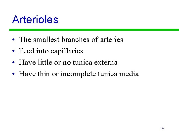 Arterioles • • The smallest branches of arteries Feed into capillaries Have little or