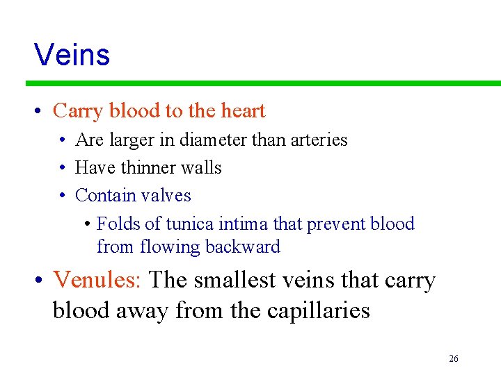 Veins • Carry blood to the heart • Are larger in diameter than arteries