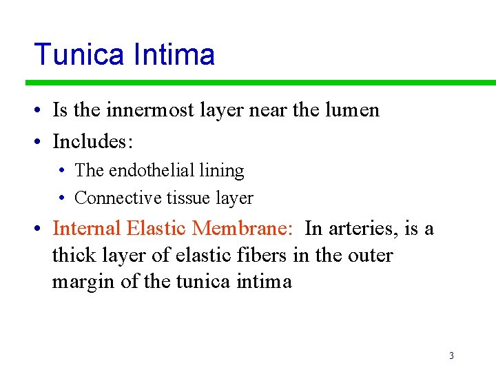 Tunica Intima • Is the innermost layer near the lumen • Includes: • The