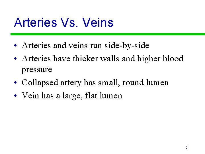 Arteries Vs. Veins • Arteries and veins run side-by-side • Arteries have thicker walls