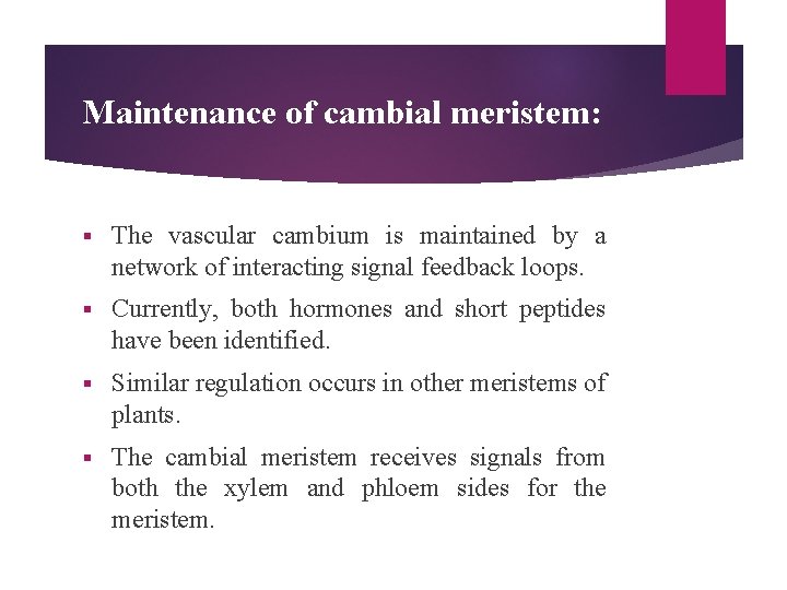 Maintenance of cambial meristem: § The vascular cambium is maintained by a network of