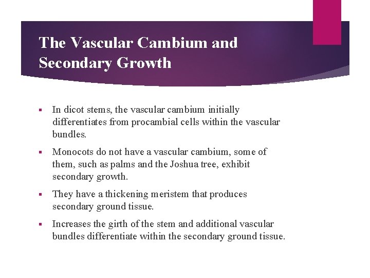 The Vascular Cambium and Secondary Growth § In dicot stems, the vascular cambium initially