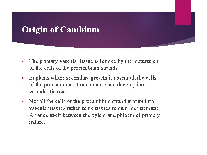 Origin of Cambium § The primary vascular tissue is formed by the maturation of