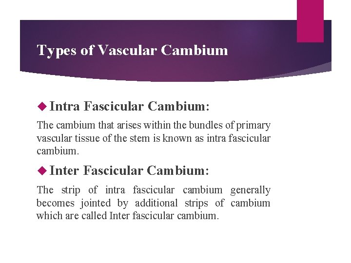 Types of Vascular Cambium Intra Fascicular Cambium: The cambium that arises within the bundles