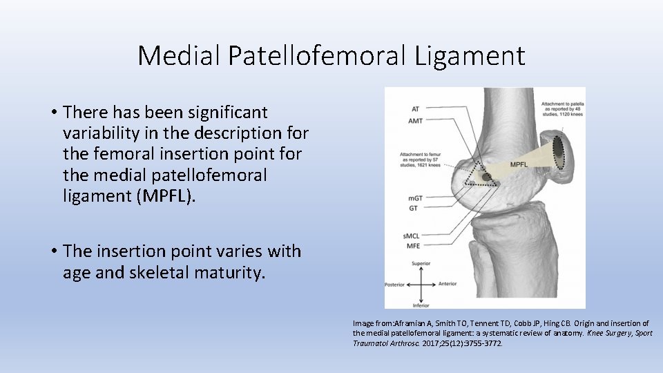 Medial Patellofemoral Ligament • There has been significant variability in the description for the