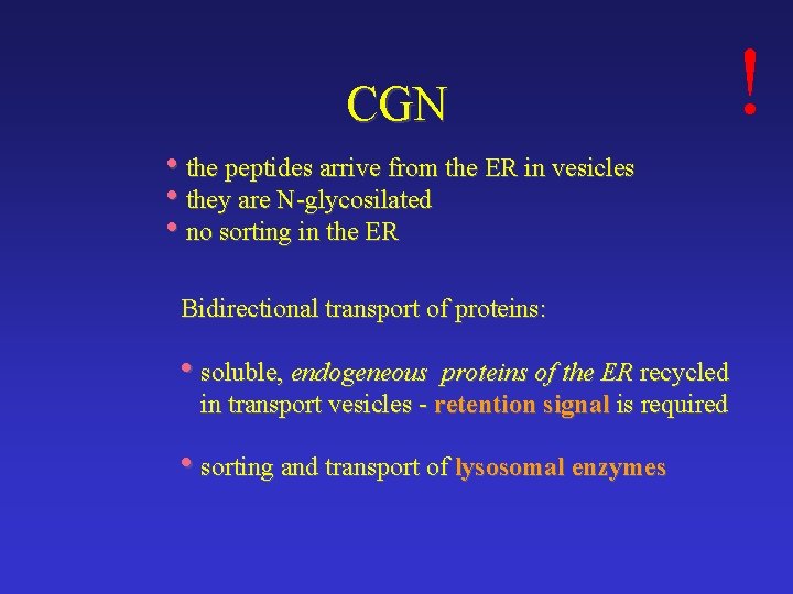 CGN • the peptides arrive from the ER in vesicles • they are N-glycosilated