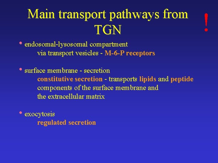 Main transport pathways from TGN • endosomal-lysosomal compartment via transport vesicles - M-6 -P