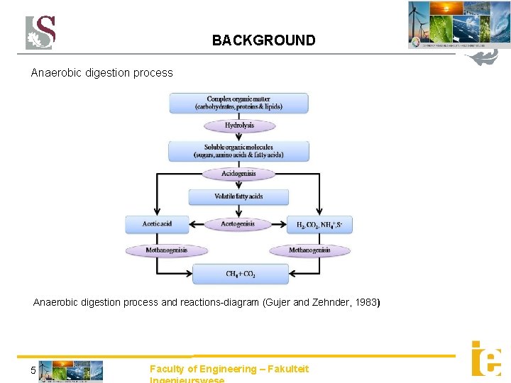 BACKGROUND Anaerobic digestion process and reactions-diagram (Gujer and Zehnder, 1983) 5 Faculty of Engineering