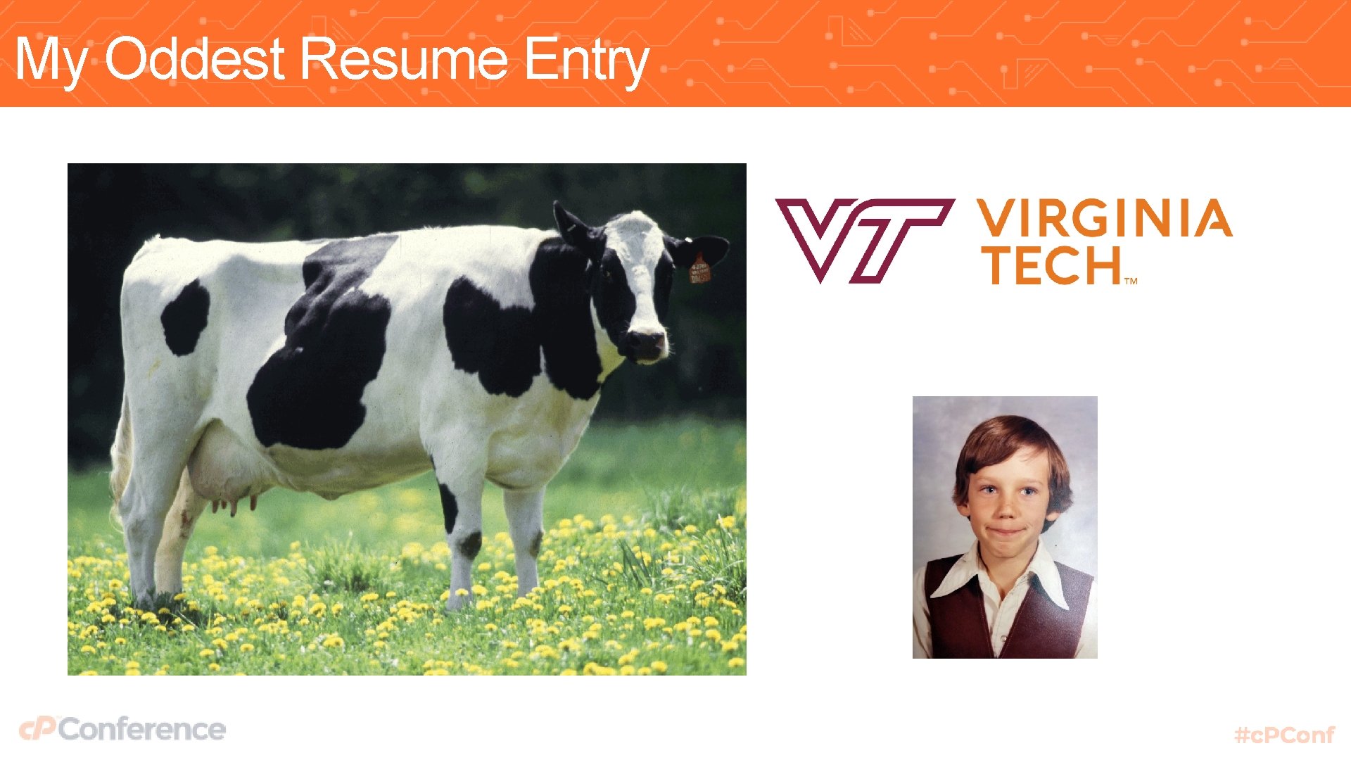 My Oddest Resume Entry 