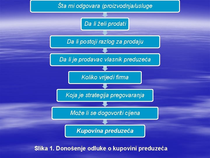 Šta mi odgovara (proizvodnja/usluge Da li želi prodati Da li postoji razlog za prodaju