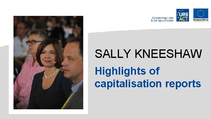 SALLY KNEESHAW Highlights of capitalisation reports 