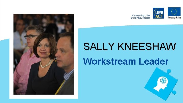 SALLY KNEESHAW Workstream Leader 