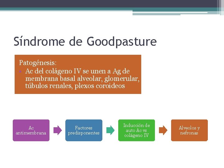 Síndrome de Goodpasture Patogénesis: • Ac del colágeno IV se unen a Ag de