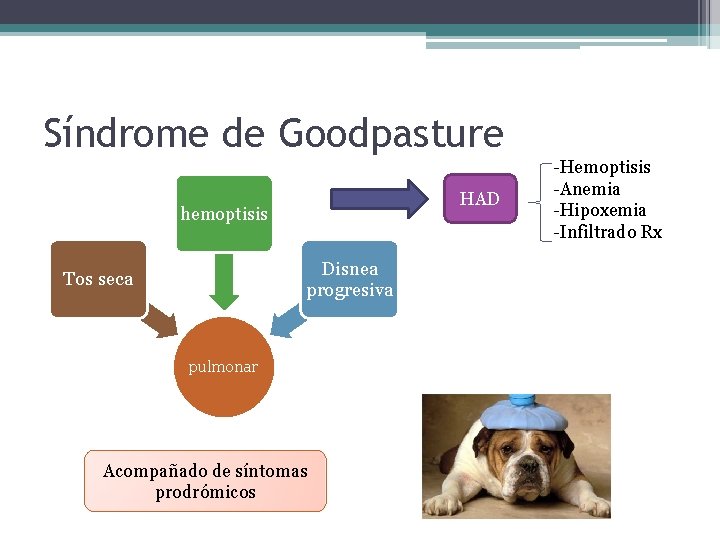 Síndrome de Goodpasture HAD hemoptisis Disnea progresiva Tos seca pulmonar Acompañado de síntomas prodrómicos