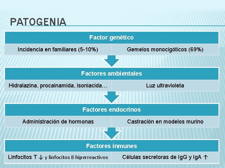PATOGENIA Factor genético Incidencia en familiares (5 -10%) Gemelos monocigóticos (69%) Factores ambientales Hidralazina,