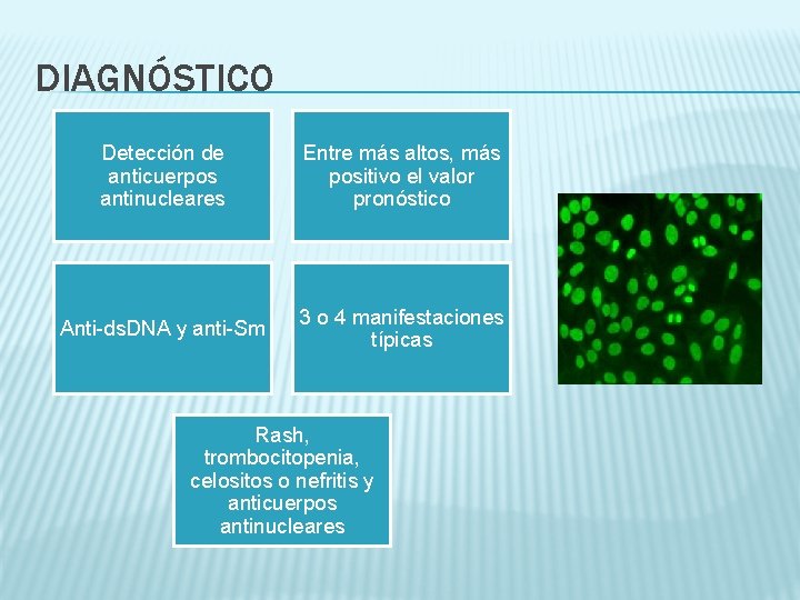 DIAGNÓSTICO Detección de anticuerpos antinucleares Entre más altos, más positivo el valor pronóstico Anti-ds.