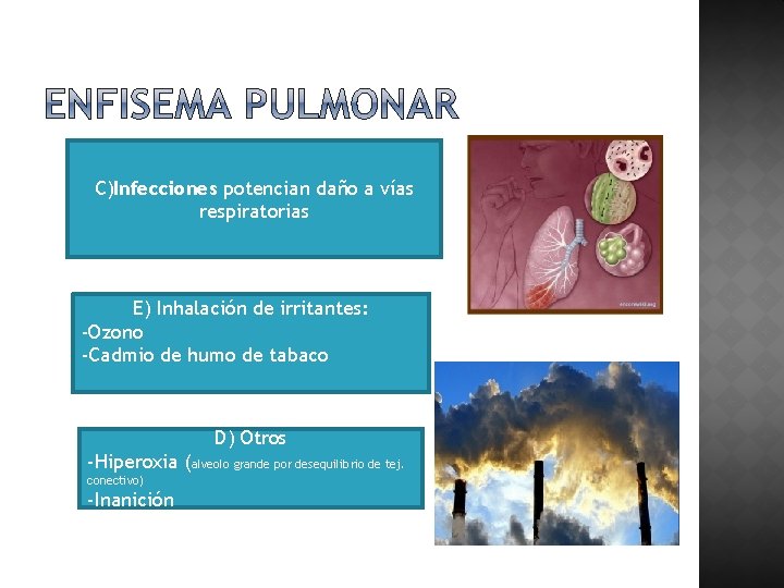 C)Infecciones potencian daño a vías respiratorias E) Inhalación de irritantes: -Ozono -Cadmio de humo