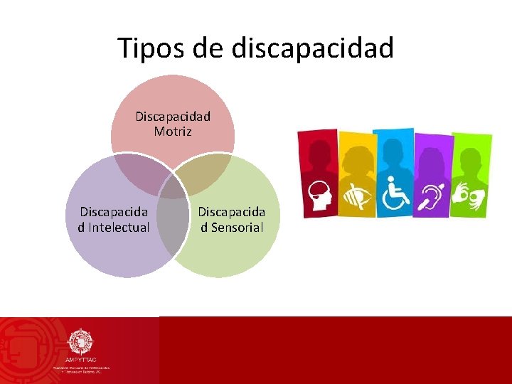 Tipos de discapacidad Discapacidad Motriz Discapacida d Intelectual Discapacida d Sensorial 