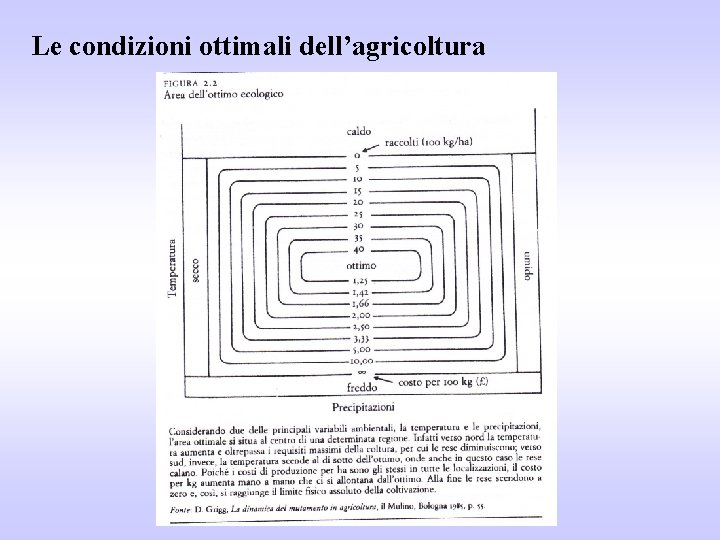 Le condizioni ottimali dell’agricoltura 