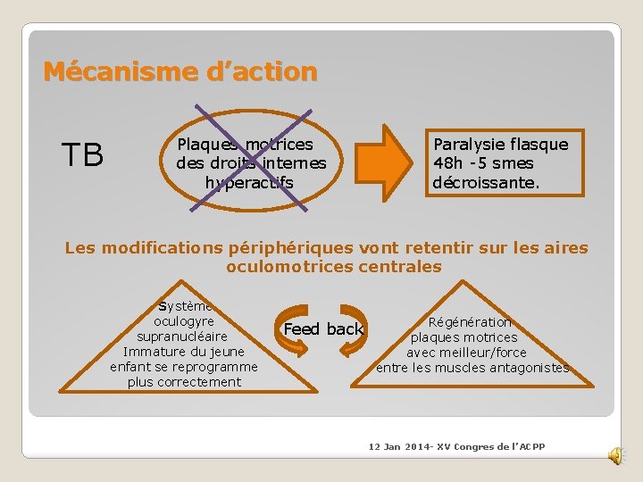 Mécanisme d’action TB Plaques motrices droits internes hyperactifs Paralysie flasque 48 h -5 smes