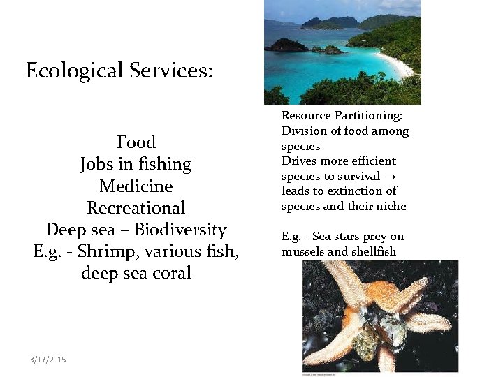 Ecological Services: Food Jobs in fishing Medicine Recreational Deep sea – Biodiversity E. g.