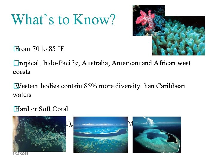 What’s to Know? � From 70 to 85 °F � Tropical: Indo-Pacific, Australia, American