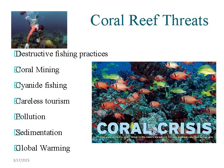 Coral Reef Threats � Destructive fishing practices � Coral Mining � Cyanide fishing �