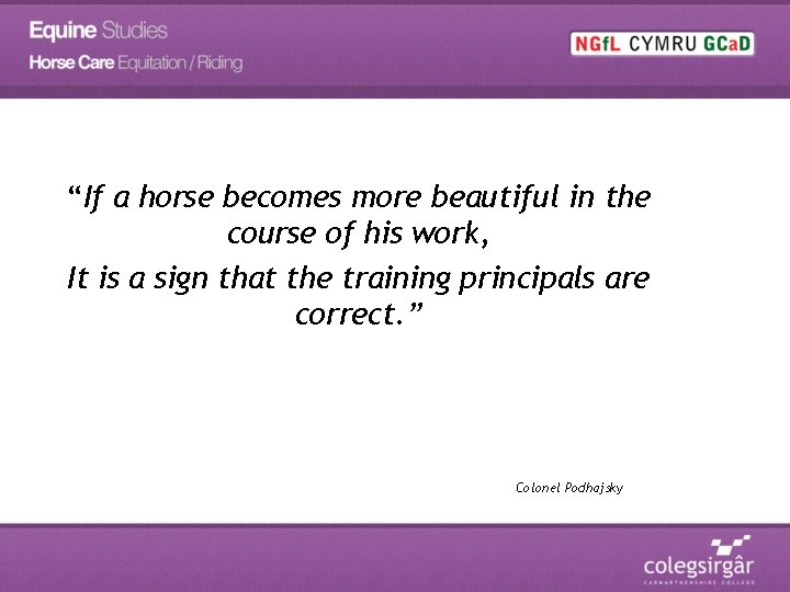 “If a horse becomes more beautiful in the course of his work, It is