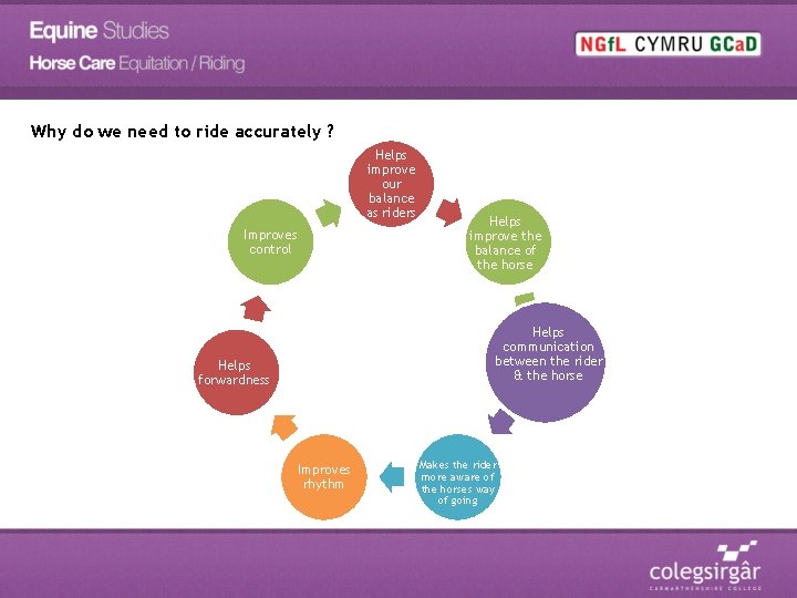 Why do we need to ride accurately ? Helps improve our balance as riders