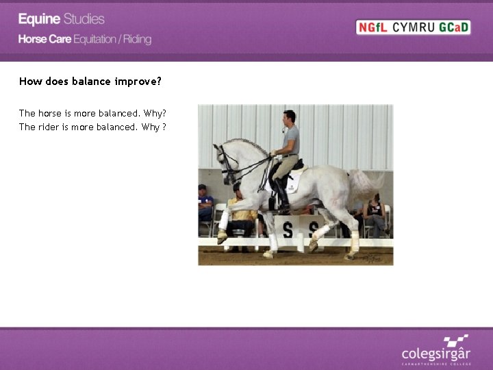 How does balance improve? The horse is more balanced. Why? The rider is more