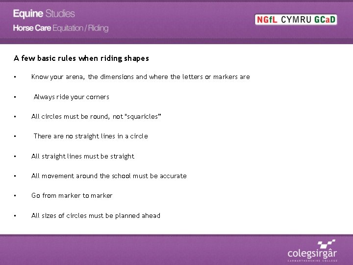 A few basic rules when riding shapes • • Know your arena, the dimensions