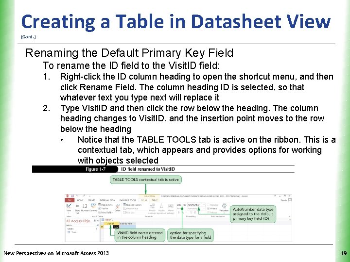XP Creating a Table in Datasheet View (Cont. ) Renaming the Default Primary Key